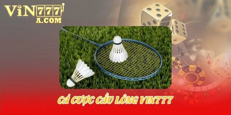 cá cược cầu lông Vin777